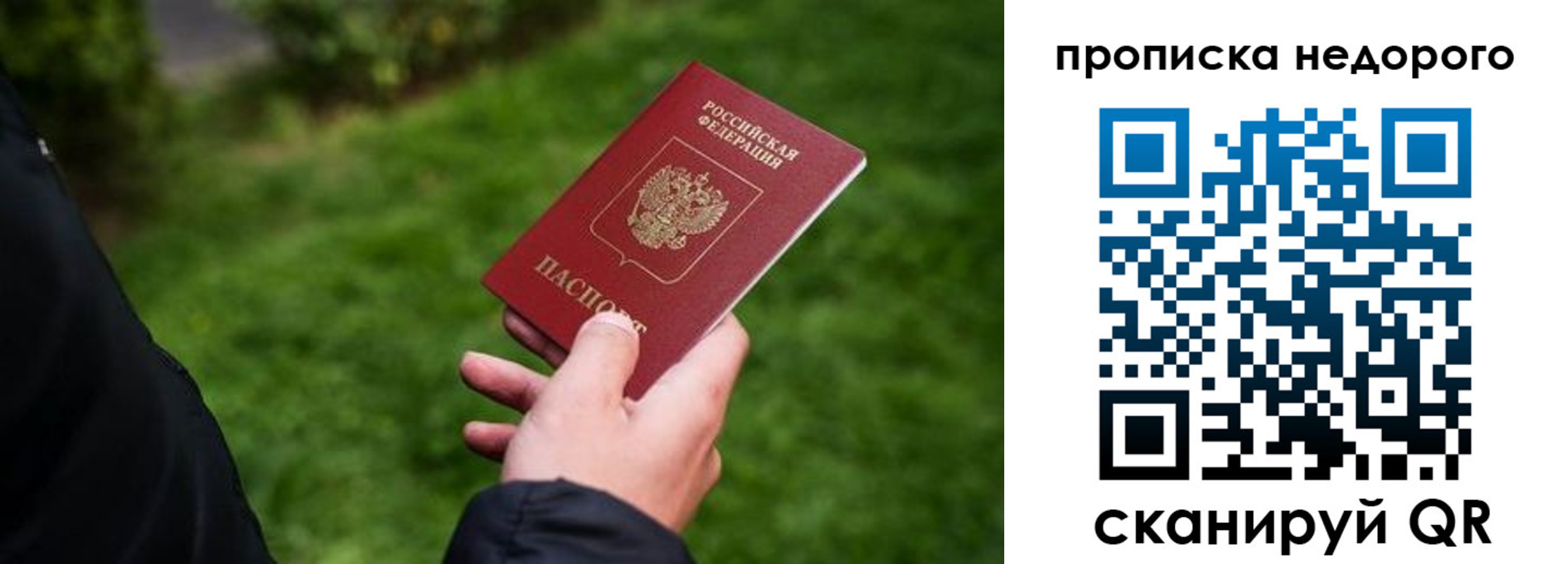 временная регистрация поиск в Благовещенске